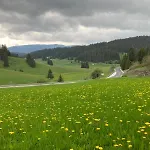 Coop Rozhen
