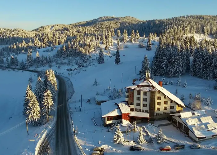 Coop Rozhen 3* Pamporowo