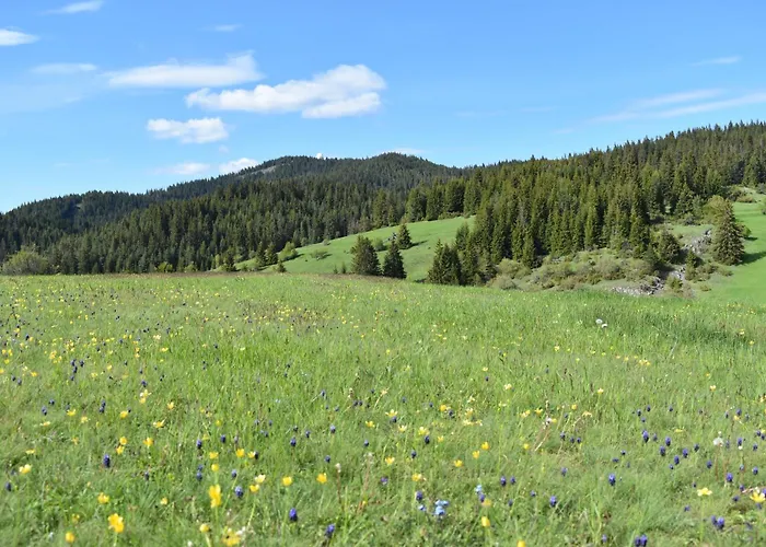 Hotel Coop Rozhen Pamporovo